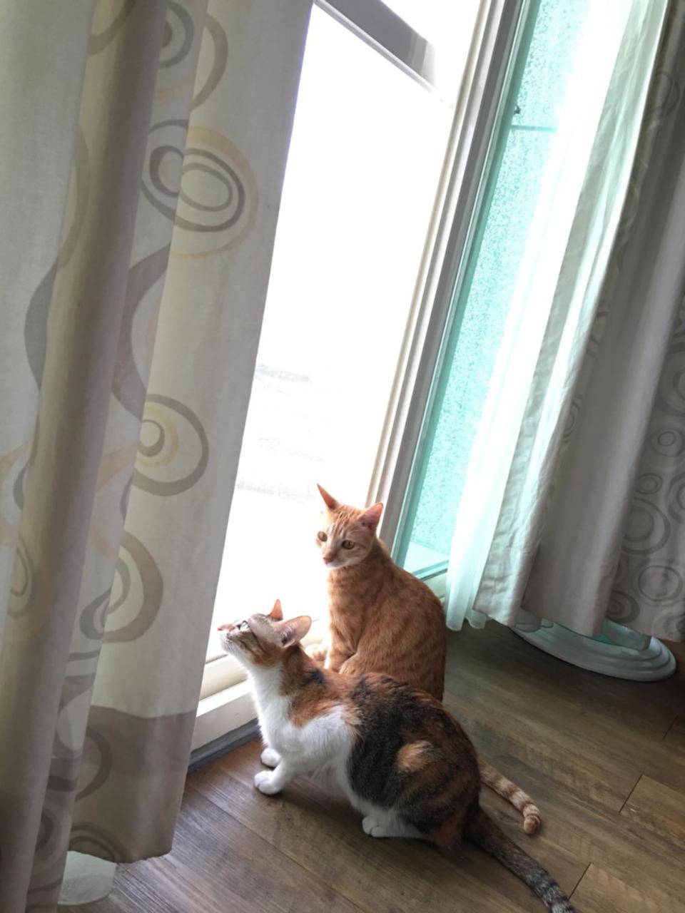 Beauty Home Homestay Hualien City Luaran gambar